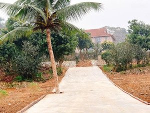 lô đất đắc địa tại xã hòa sơn lương sơn hòa bình diên tích 228m 80m ont