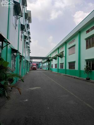 cho thuê kho lưu trữ hàng từ 50m2 -10.000m2 giá siêu ưu đãi dịp tết