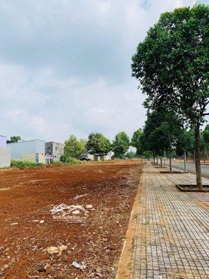 lô góc biệt thự ngoại giao tại dự án the link city (suất ngoại giao)