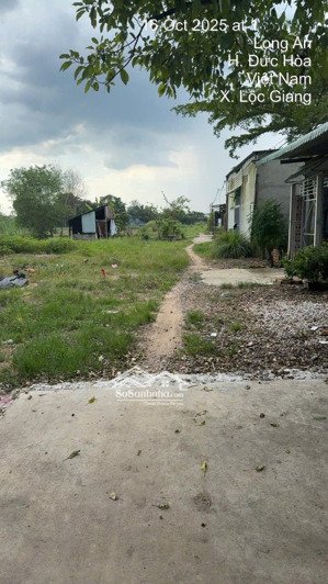 bán đất hẻm xe tải, đường hồ chí minh, 39,5 tỷ, 18000m2, uy tín hot