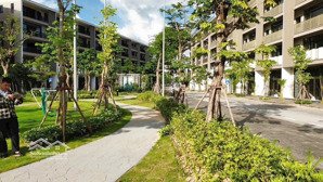 quỹ 10 căn ngoại giao từ cđt bim group, chiết khấu tốt nhận nhà ở ngay. mua là lời