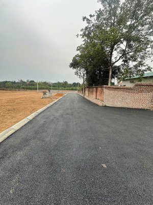 đất cẩm lĩnh ba vì gần suối hai, dt 100m2 mặt đường lớn, giá nhỉnh 700 triệu/lô