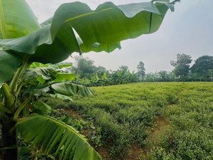 pháp lý nét vị trí đẹp rẻ nhất hà nội