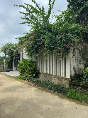 đất thị trấn kinh doanh tấp nập