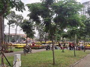 chính chủ bán căn hộ chung cư hà đô nguyễn văn công, p3, gò vấp giá 5,6 tỷ diện tích: 84 m2