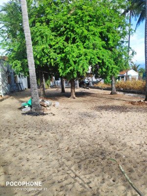 chính chủ bán đất hẻm 373m2 - đường trần hưng đạo, chỉ vài bước chân thì ra biển.