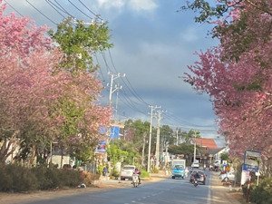 bán đất xuân thọ - thành phố đà lạt