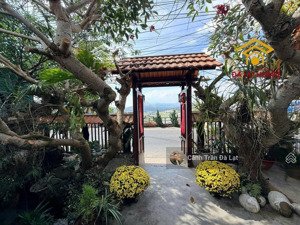 bán nhà mặt tiền đường an sơn, hiện đang kđ quán ăn chay. vị trí có view, thoáng.