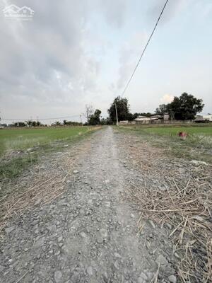 Bán đất thổ cư xã Hòa Khánh Đông , Đức Hòa dt 250m2 giá 1 tỷ 268 triệu