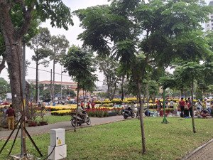 bán nhà 785 / nguyễn kiệm phường 3 gò vấp. giá 9 tỷ. diện tích 120m2. 