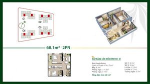 hàng hiếm view bể bơi an bình homeland