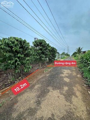 HẺM 203 NGUYỄN VIẾT XUÂN, ĐAMBRI - PHƯỜNG 2 MỚI BẢO LỘC - 990 TRIỆU/ 502M2