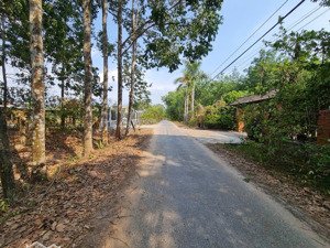 bán đất hxh đường phú thuận, xã an nhơn tây, tp.hcm ( xã phú mỹ hưng, huyện củ chi)