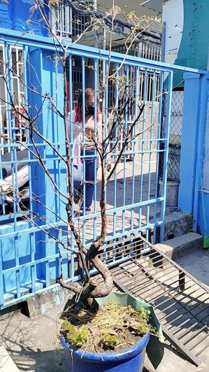 bán nhà cấp 4 108m2 sổ riêng hẻm 724 lê văn lương ngay cầu gạch đĩa