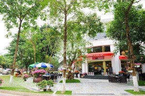 cho thuê nhà mặt trung tâm nhà phố thương mại khu thuỷ nguyên, lô góc