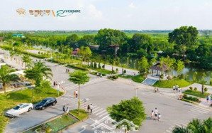 biệt thự song lập centa riverside đón sóng hạ tầng 2026