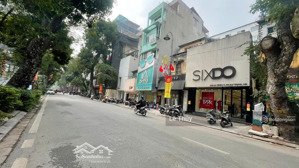 mặt phố bà triệu, hai bà trưng - 219.3m2, cấp 4 - mt 6.3m - 198 tỷ