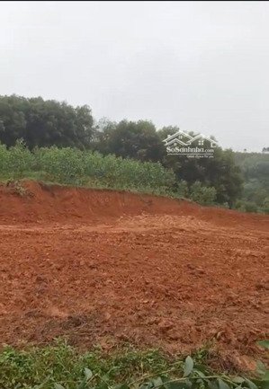 em cần bán 5500m2 đất vườn có 100m2 thổ cư tại gia điền, hạ hoà, phú thọ. 950k/m2. lh: 