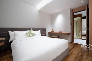 căn hộ có giá tốt nhất tại nguyễn thị minh khai, sang - xịn - đẹp theo tiêu chuẩn 5* vận hành ngay