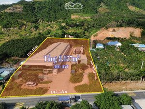 kho đẹp mặt tiền tỉnh lộ 3 cạnh ql1a và cao tốc cách nha trang 10km