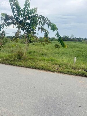 Bán đất thổ cư mt đường Xóm Gò , xã Đức Lập Hạ dt 430m2 giá 2,8 tỷ