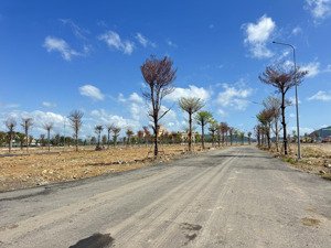 vihomes pearl bay phân khu lam ngọc giá 11 tỷ 211 / căn .