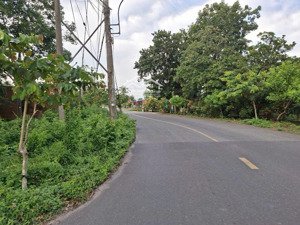 bán đất mặt tiền đường phú thuận, xã an nhơn tây, tp.hcm (xã phú mỹ hưng, huyện củ chi)