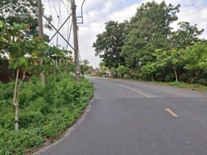 Bán đất mặt tiền đường Phú Thuận, xã An Nhơn Tây, TP.HCM ( Xã Phú Mỹ Hưng, Huyện Củ Chi)