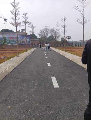 mở bán đợt 1 đất hòa thạch (phú cát hòa lạc) hàng f0 sổ sẵn full thổ cư giao dịch ngay