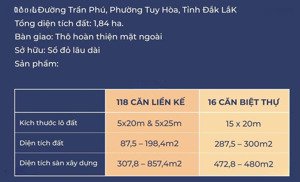 biệt thự triệu đô cloud reserve central tuyhoa 300m² 3 tầng 1 tum 4pn 5wc hướng đông nam vượng khí