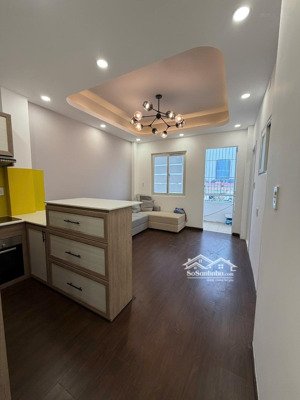 chung cư cây mai - nguyễn thị nhỏ, q.11 - shr - thang máy rộng - giá chỉ 2.9 tỷ