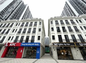 chiết khấu khủng đến 30% cho căn shophouse tmdv 160m2 vinhomes smart city, giá chỉ từ 25 tỷ/căn