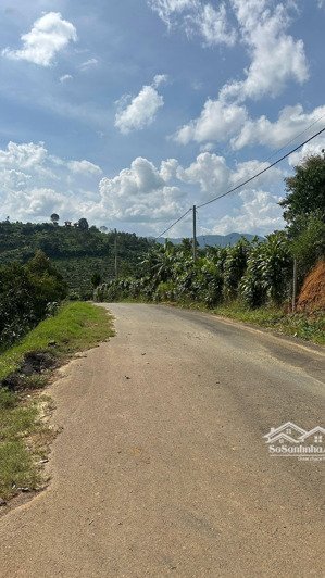 chính chủ cắt lỗ - đất bảo lộc đất vườn quy hoạch thổ cư âu cơ, 4,8 tỷ, 4160 m2 view đẹp