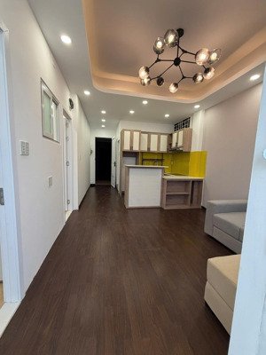 chung cư cây mai nguyễn thị nhỏ 52m2 ful nội thất q.11 có thang máy chỉ 3,25 tỷ