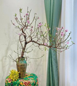 quy căn hộ 1pn-2pn-3pn-4pn vinhomes gardenia giá từ 6 tỷ