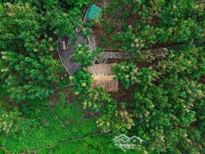 đất nhà vườn view hồ giáp suối - ngang 37m - đường bê tông - cách ql20 chỉ 400m