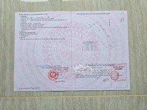 vị trí đẹp - giá tốt - cần bán lô đất cln tại tổ 19, ấp cây sộp, tân an hội, huyện củ chi, hcm