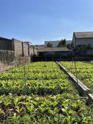 bán mảnh đất 69.5m2 cách chợ đông tảo 200m, giá 25 tr/m2. lh 