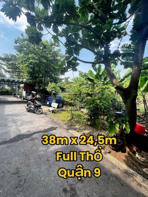 hot (38m x 24,5m) vuông vức full thổ gần nguyễn duy trinh