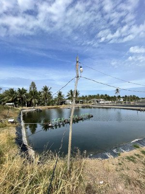 mặt tiền sông cửa đại - sông mekong - có 300m thổ cư sẵn giá 230tr/ 1.000m