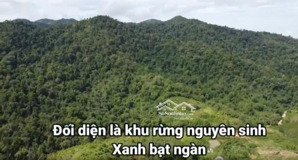 7,2ha đất thiền giữa trung tâm bảo lộc dành cho người hữu duyên