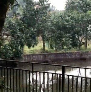 bán trang trại 3160m trần phú, chương mỹ, hà nội, giá thỏa thuận. lh 