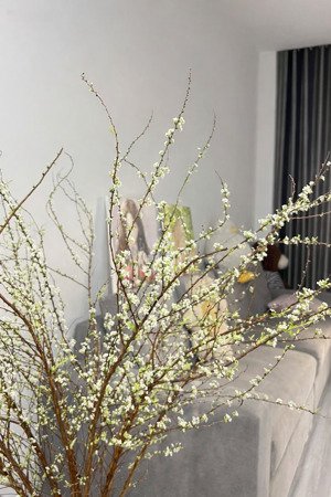 cách mt 30m ngay đh hồng bàng - hàng xóm q1 - q2 | ~70m2 ngang 5m | chỉ 7.95t tl