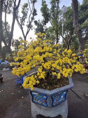 cho thuê nhà 175/ nguyễn văn công, phường 3, gò vấp. dt 68m2. giá t2 =10 triệu