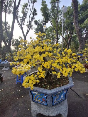 bán nhà 843/ nguyễn kiệm, phường 3 gò vấp. 120m2 giá 1,5 tỷ 