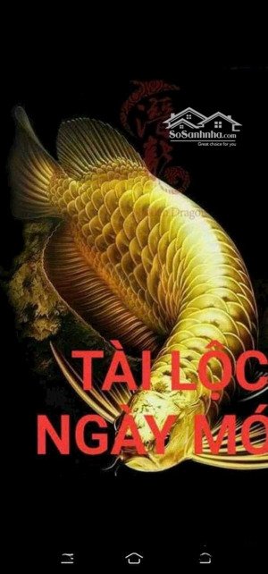 ***khai xuân đầu năm***
*nam hoà xuân đầm sen*
*b2 127 đb viêm cv.6ty350*
*b2 138 đns. giá 6ty250*