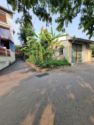 bán lô góc 97,5m trung tâm phường phúc yên