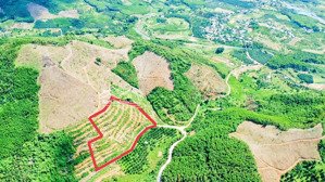 mặt tiền bê tông ô tô khánh phú, bám bê tông dài gần 250m tặng 100 giống sầu riêng, giá: 2 tỷ