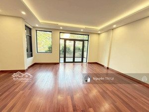 biệt thự vip cầu giấy lô góc 2 mặt tiền vỉa hè rộng điều hòa âm trần nội thất xa xỉ (qtll10096)