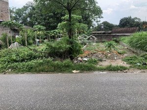 bán đất trục chính kinh doanh tại phố gốt , phú nghĩa , hà nội